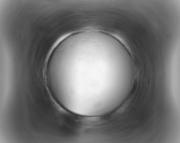 X0000086241486200704121924