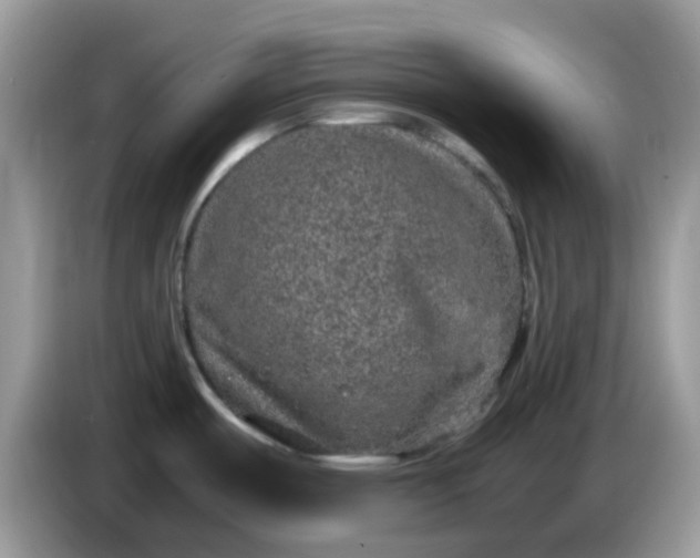 X0000086241487200704121924