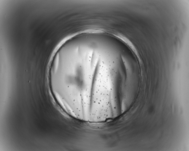 X0000086241488200704121924
