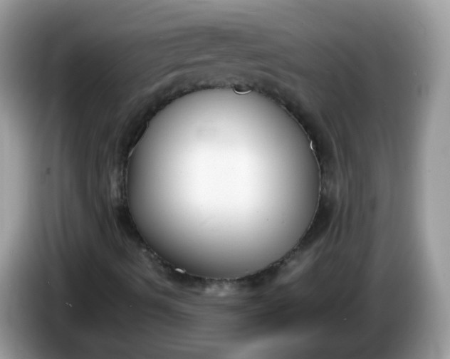 X0000086241490200704121924