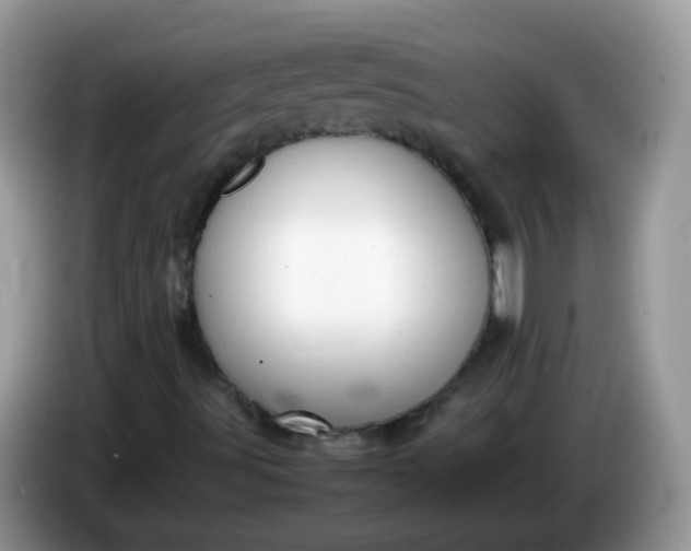 X0000086241491200704121924