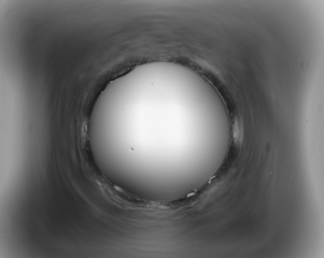X0000086241492200704121924
