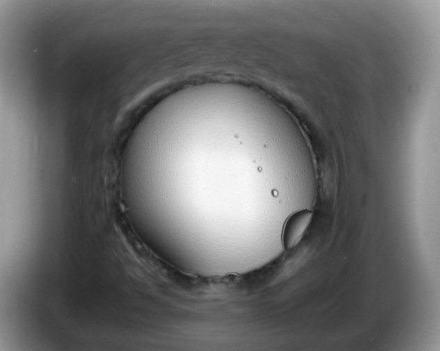X0000086241494200704121924