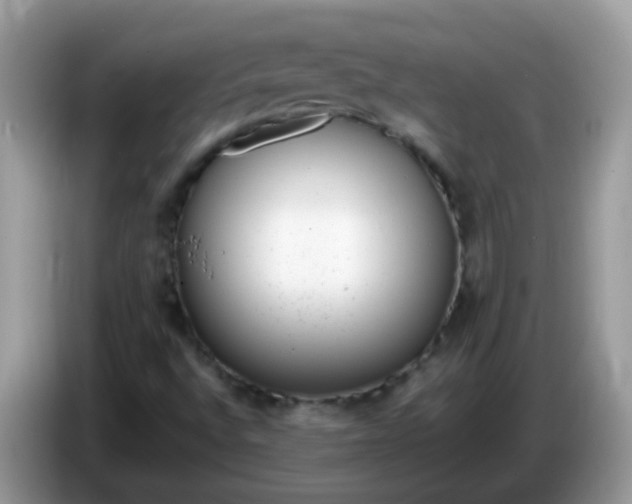 X0000086241496200704121924
