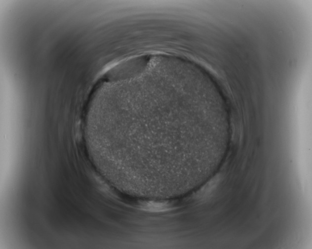 X0000086241497200704121924