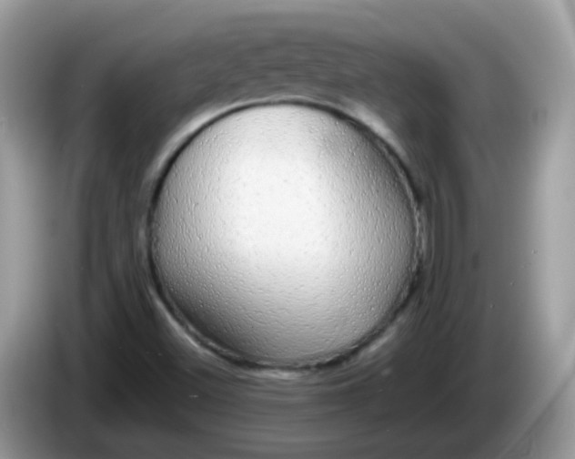 X0000086241500200704121924