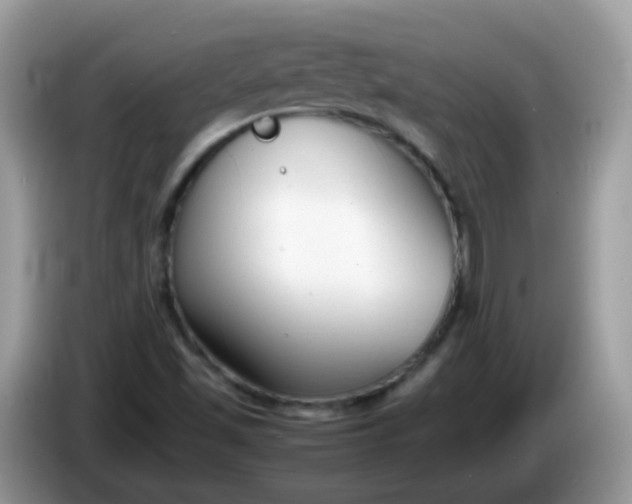 X0000086241501200704121924