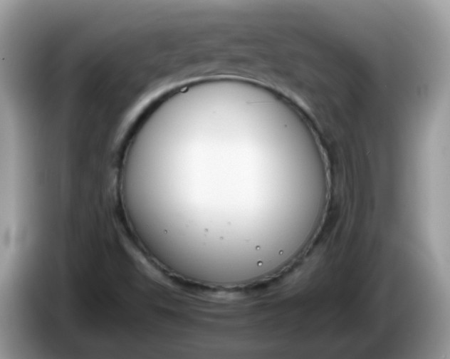 X0000086241503200704121924
