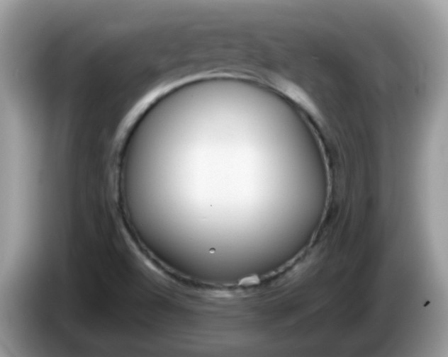 X0000086241504200704121924