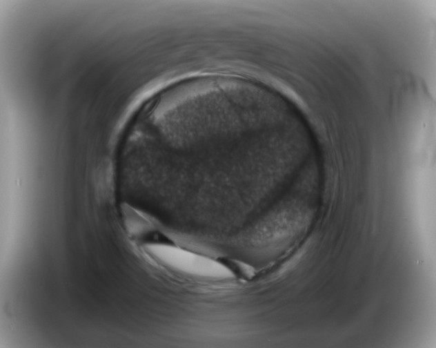 X0000086241506200704121924