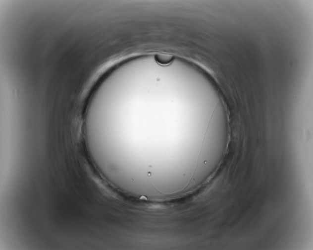 X0000086241507200704121924