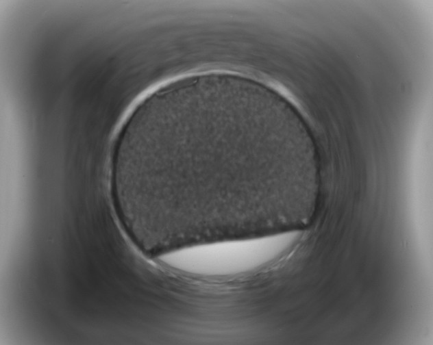 X0000086241508200704121924