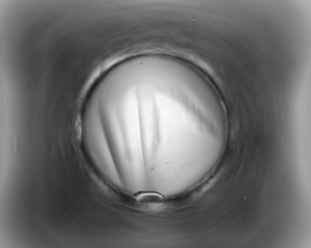 X0000086241509200704121924