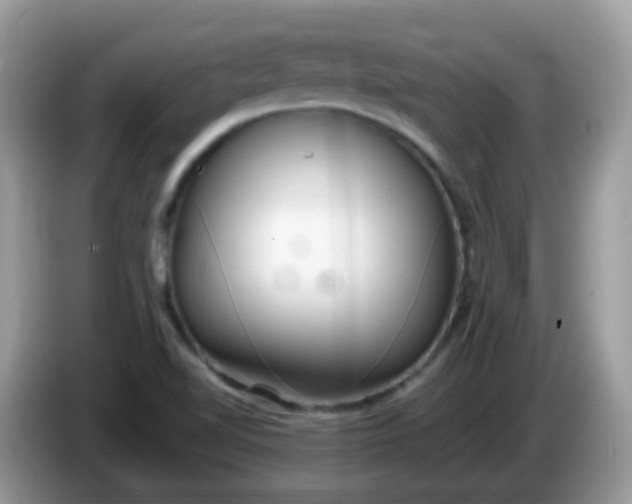 X0000086241510200704121924