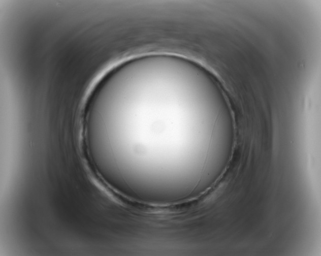 X0000086241511200704121924