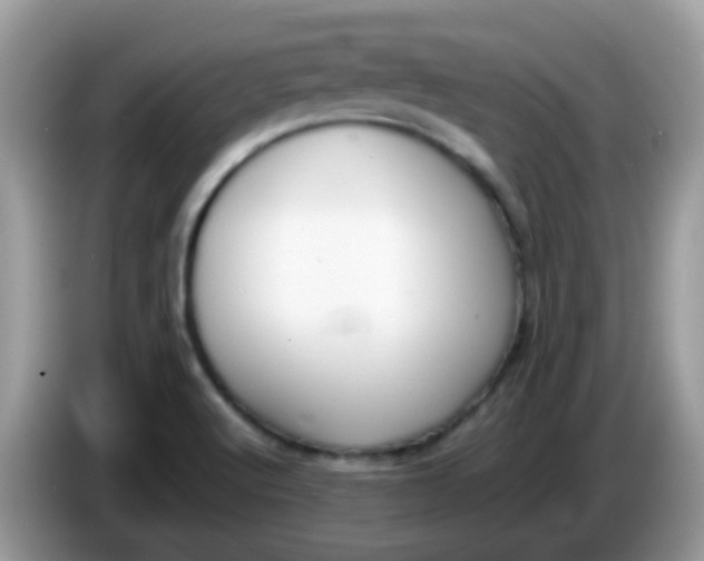 X0000086241512200704121924