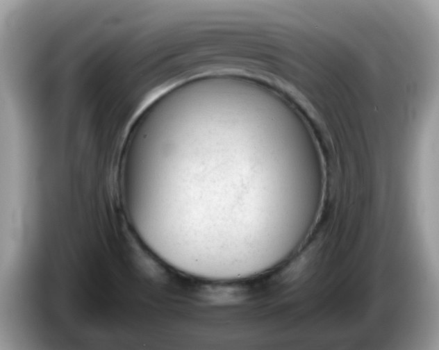 X0000086241513200704121924
