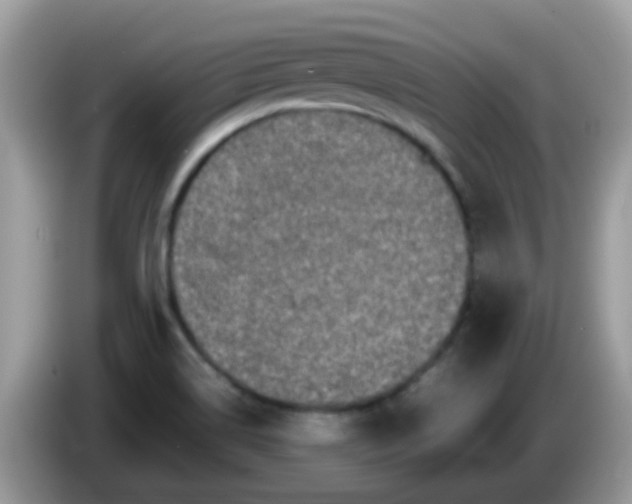 X0000086241514200704121924