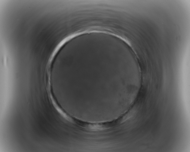 X0000086241515200704121924