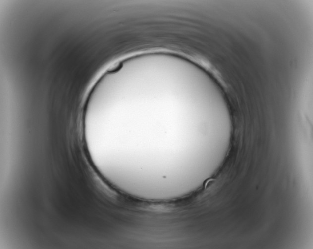 X0000086241516200704121924