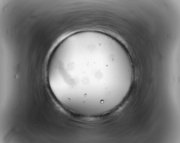 X0000086241517200704121924