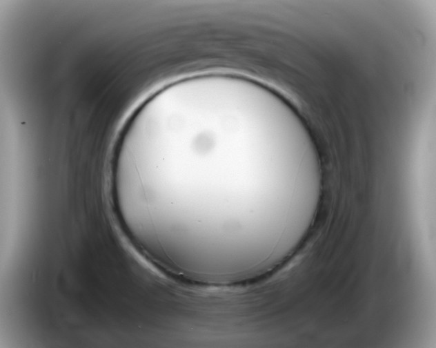 X0000086241518200704121924