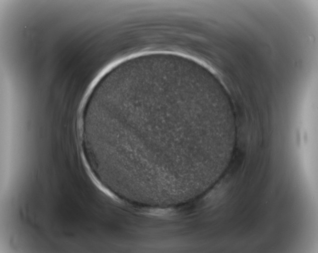 X0000086241519200704121924