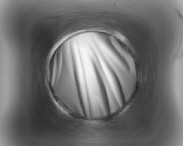 X0000086241520200704121924