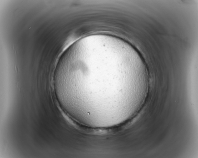 X0000086241521200704121924