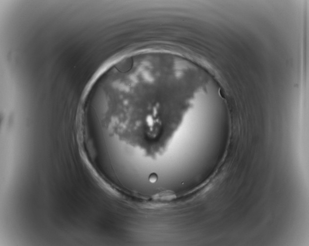 X0000086241522200704121924