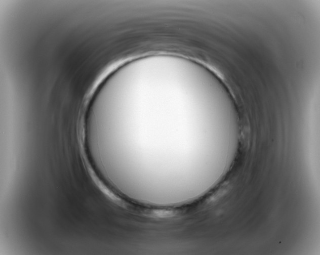 X0000086241523200704121924