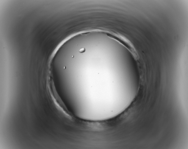 X0000086241524200704121924