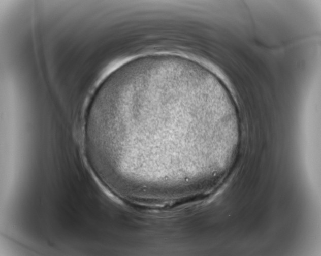 X0000086241525200704121924