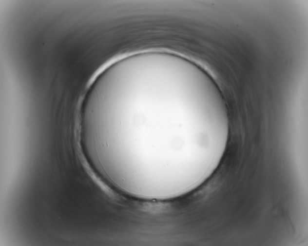 X0000086241526200704121924