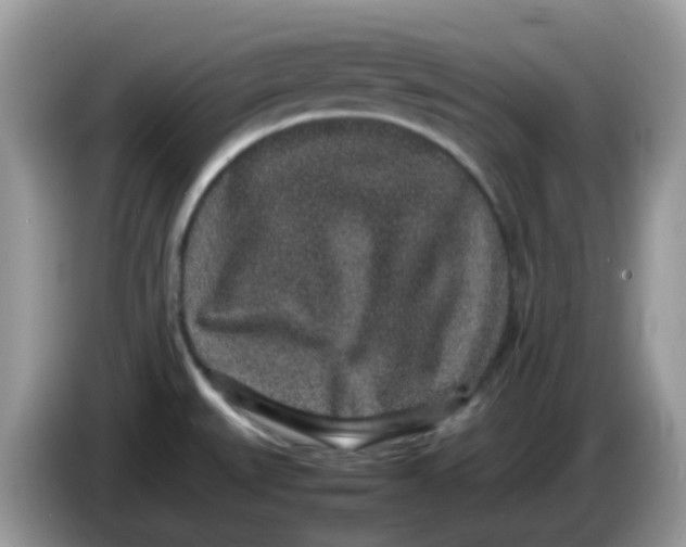 X0000086241527200704121924