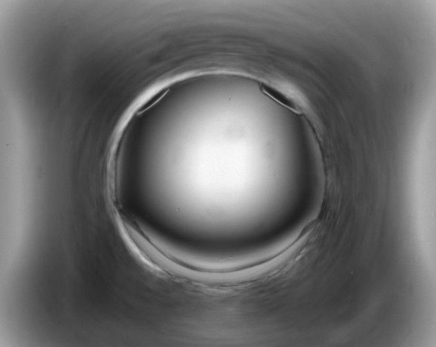 X0000086241528200704121924