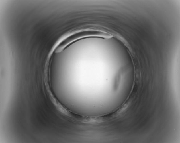 X0000086241530200704121924