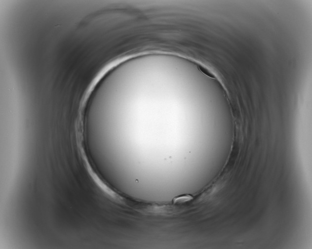 X0000086241531200704121924