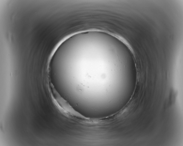 X0000086241532200704121924