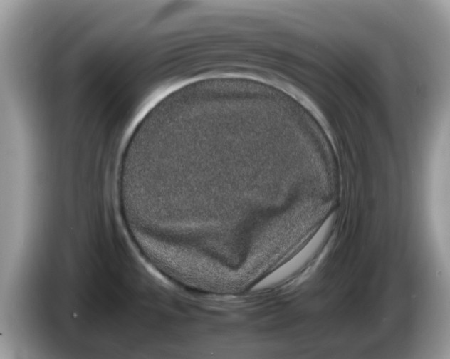 X0000086241533200704121924
