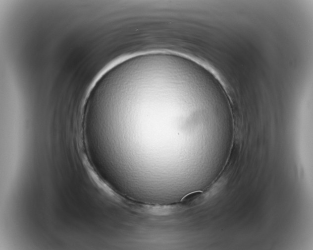 X0000086241534200704121924