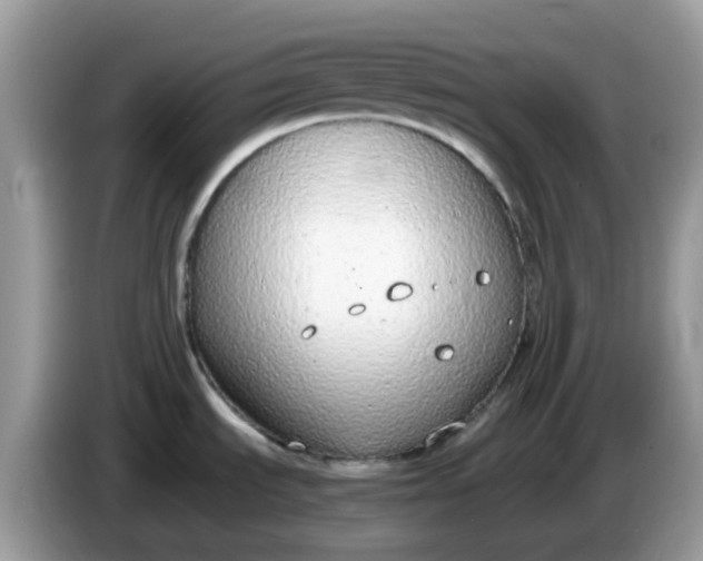 X0000086241535200704121924