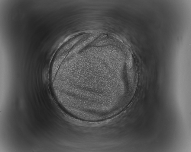 X0000086240002200704191831