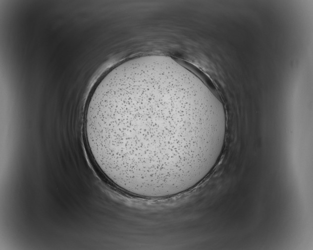 X0000086240003200704191831