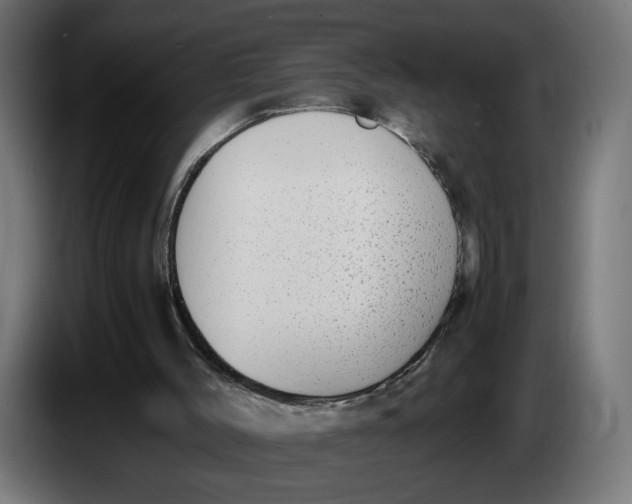 X0000086240004200704191831