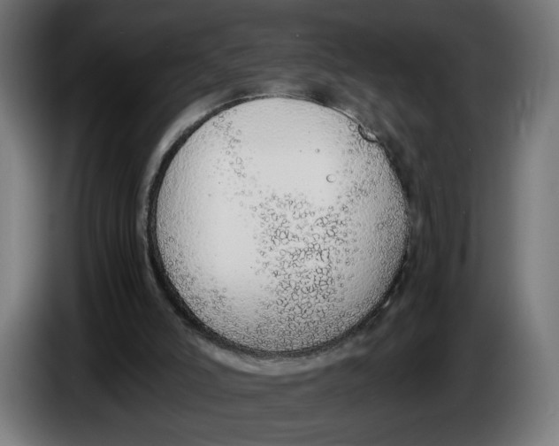 X0000086240006200704191831