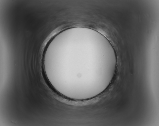 X0000086240007200704191831