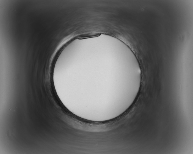 X0000086240008200704191831