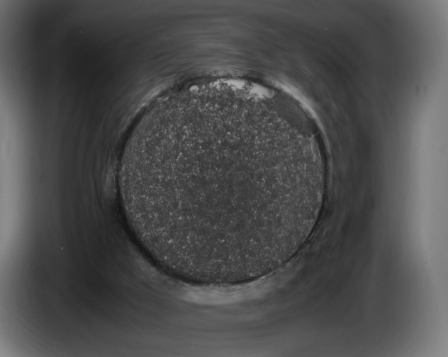 X0000086240009200704191831