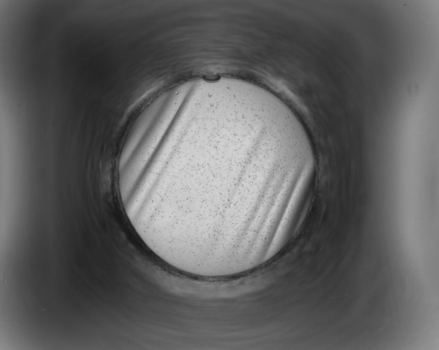 X0000086240010200704191831